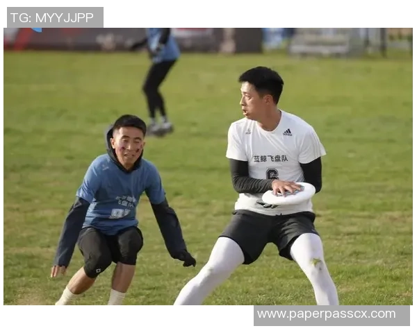 北京飞盘队区域防守创新策略探讨与实践分析