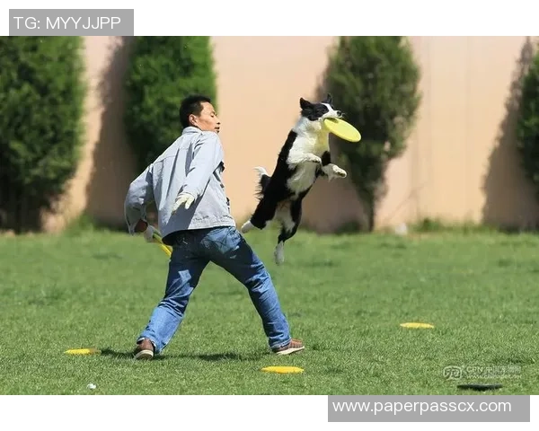 成都飞盘队在极限运动世界杯上的拼搏历程与荣耀时刻